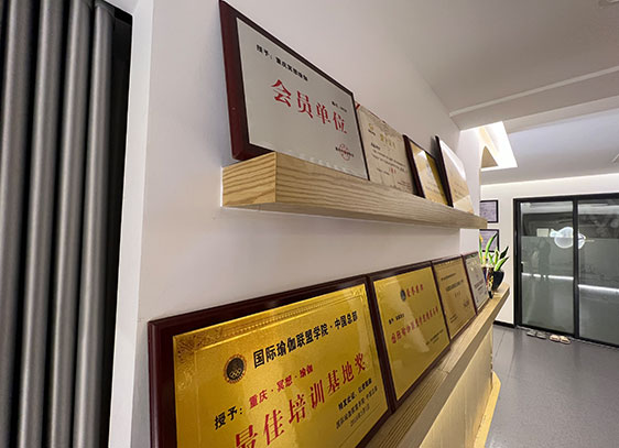 荣誉证书，授权牌